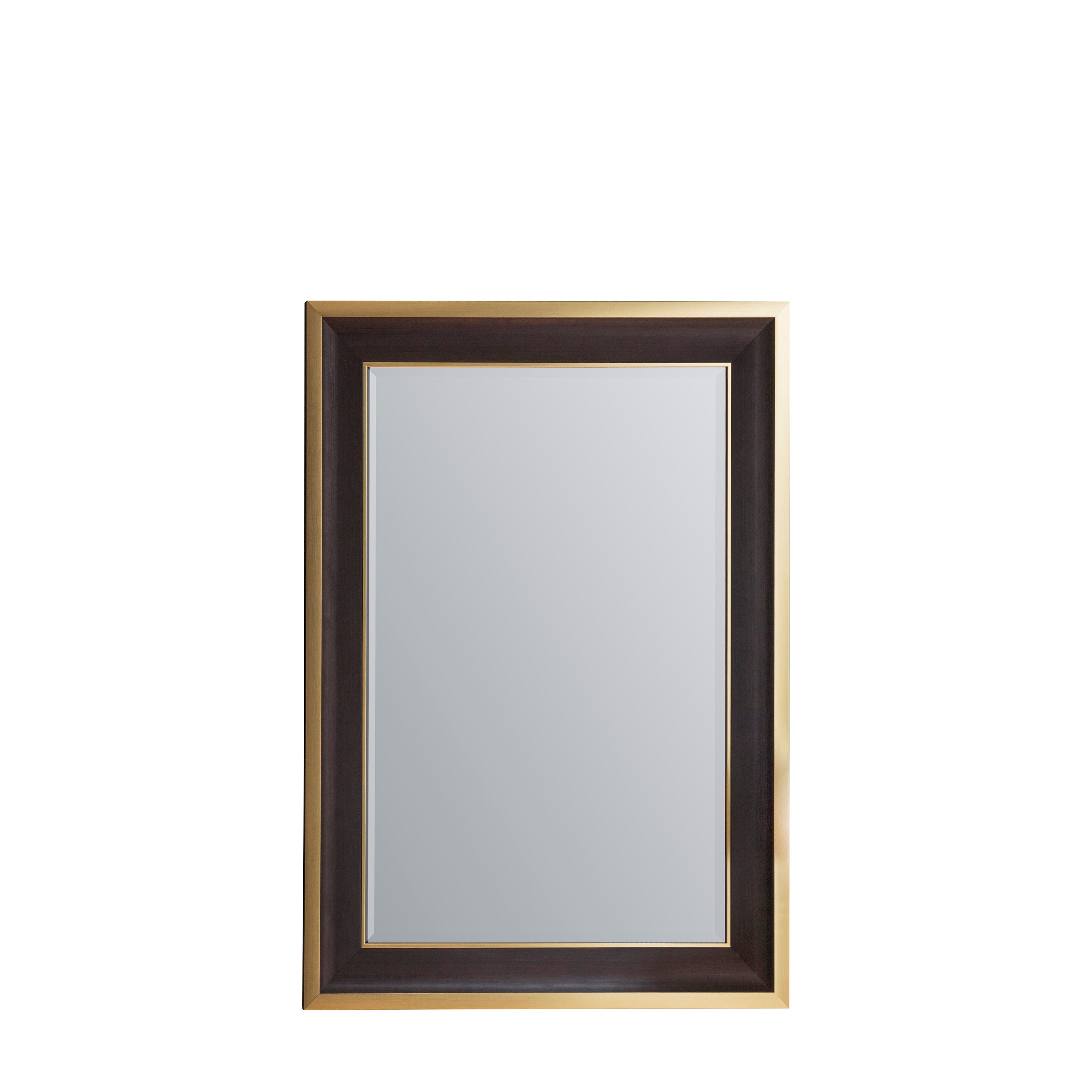 Glenora Black & Gold Rectangle Mirror